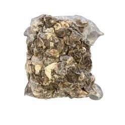 Special Dog Food - Bárány zöldpacal darabolva 1kg 