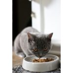 Száraztápok, Nedves eledelek