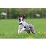 Labdák, Apportjátékok